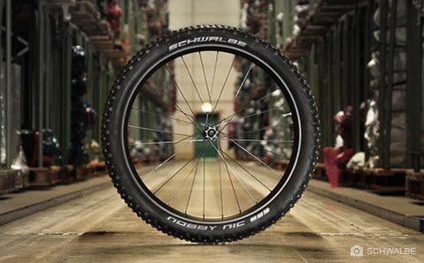 schwalbe