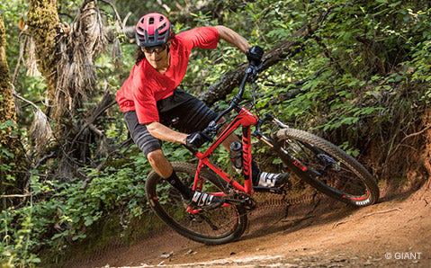 Touren & Trail Hardtails - Kategorie-Header