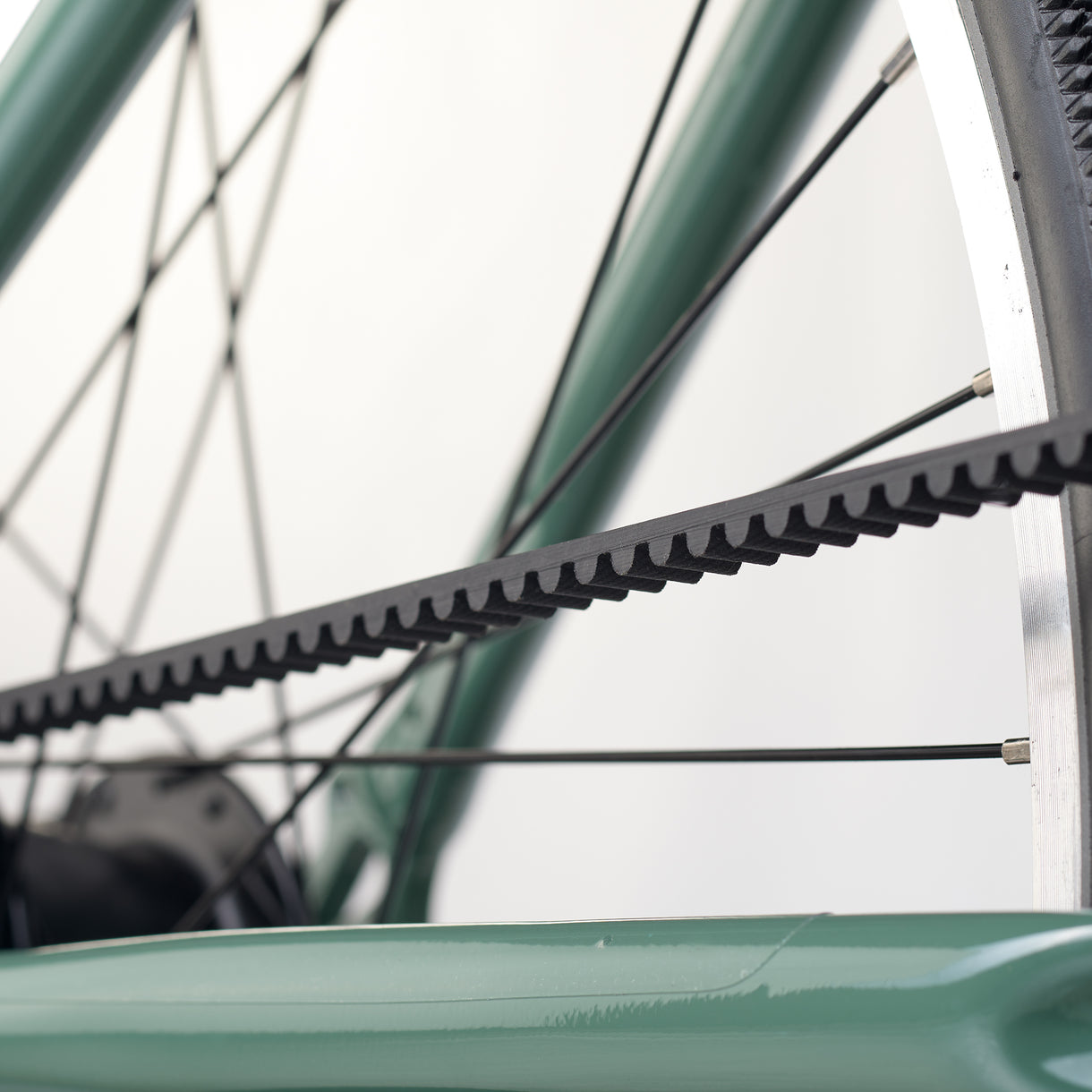 ACADEMY Grade 6 Belt 26" Olive (2026)