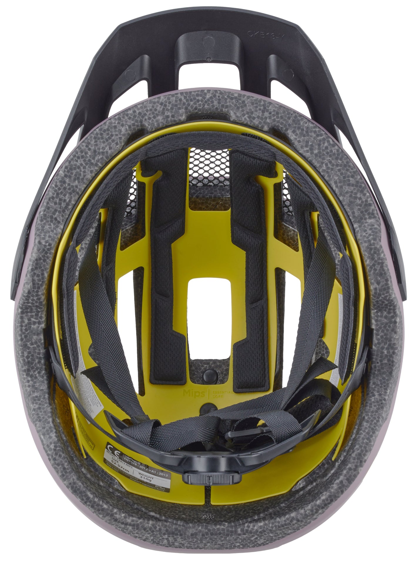 CUBE Helm FLEET rose