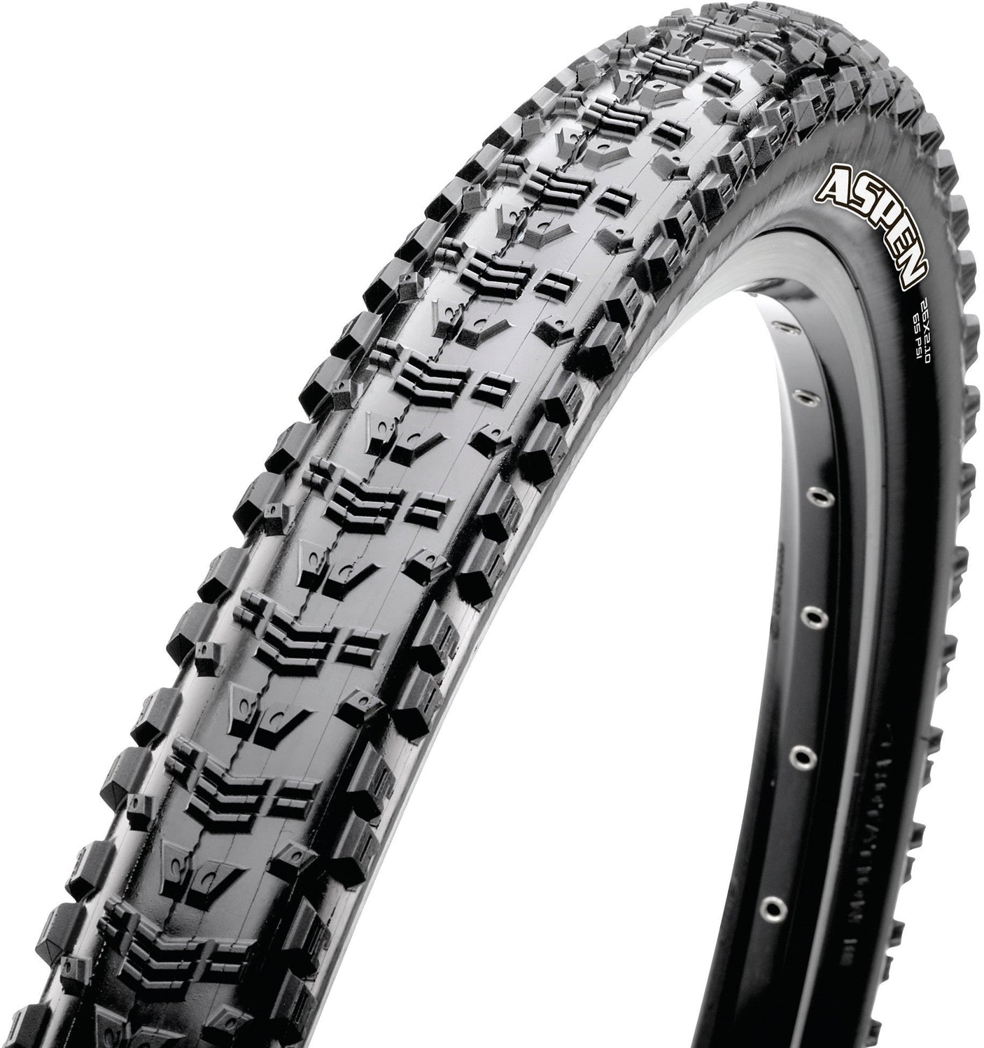 Maxxis Aspen Folding Tyre 29x2.25" Dual EXO TR black