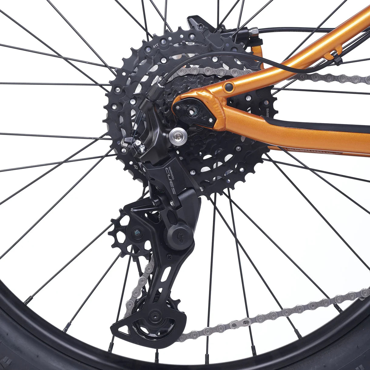 Academy Trail 4 Amber