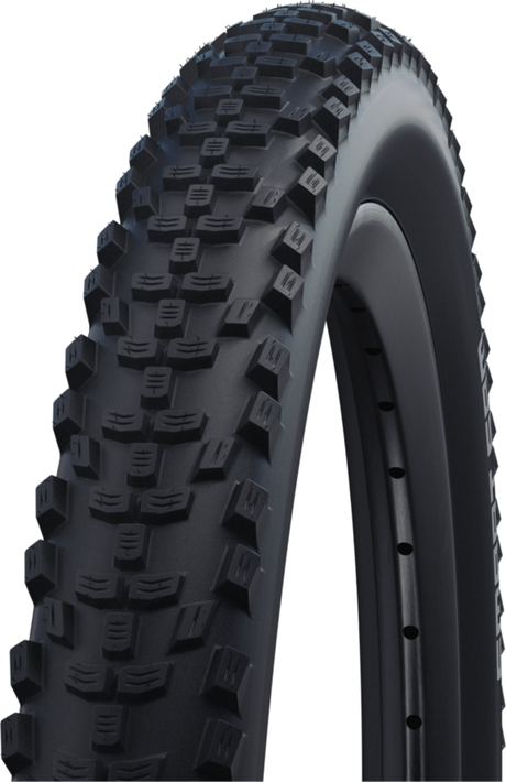 SCHWALBE Smart Sam Performance Drahtreifen 29x2.60" DD RaceGuard Snakeskin Addix braun/schwarz