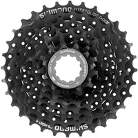 Shimano Altus CS-HG31 Kassette 8-fach – aktuelle Variante