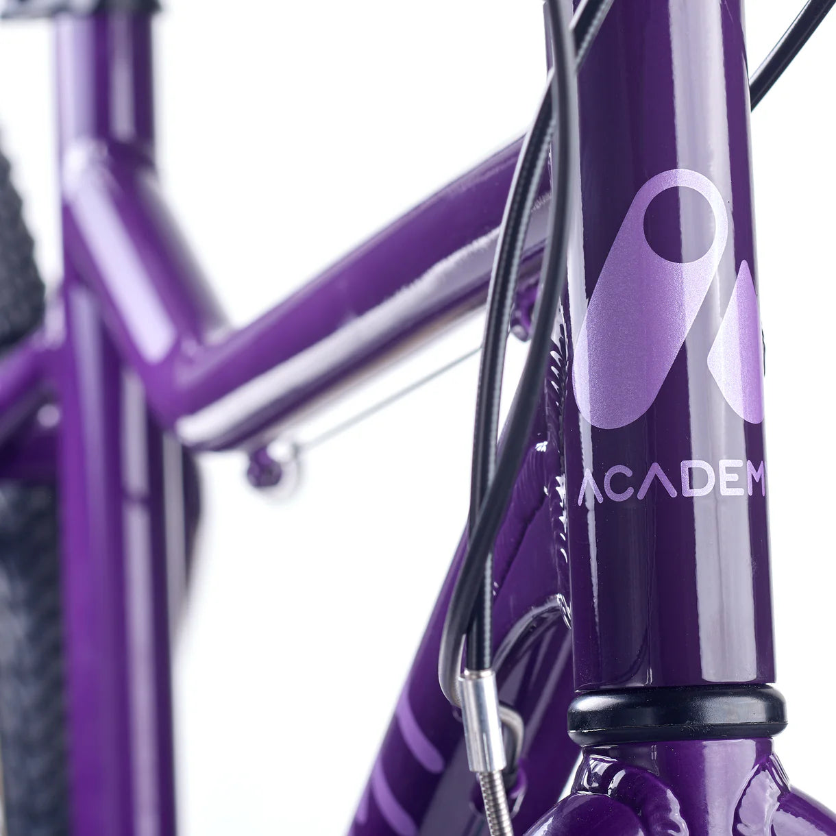 Academy GRADE 6 Purple