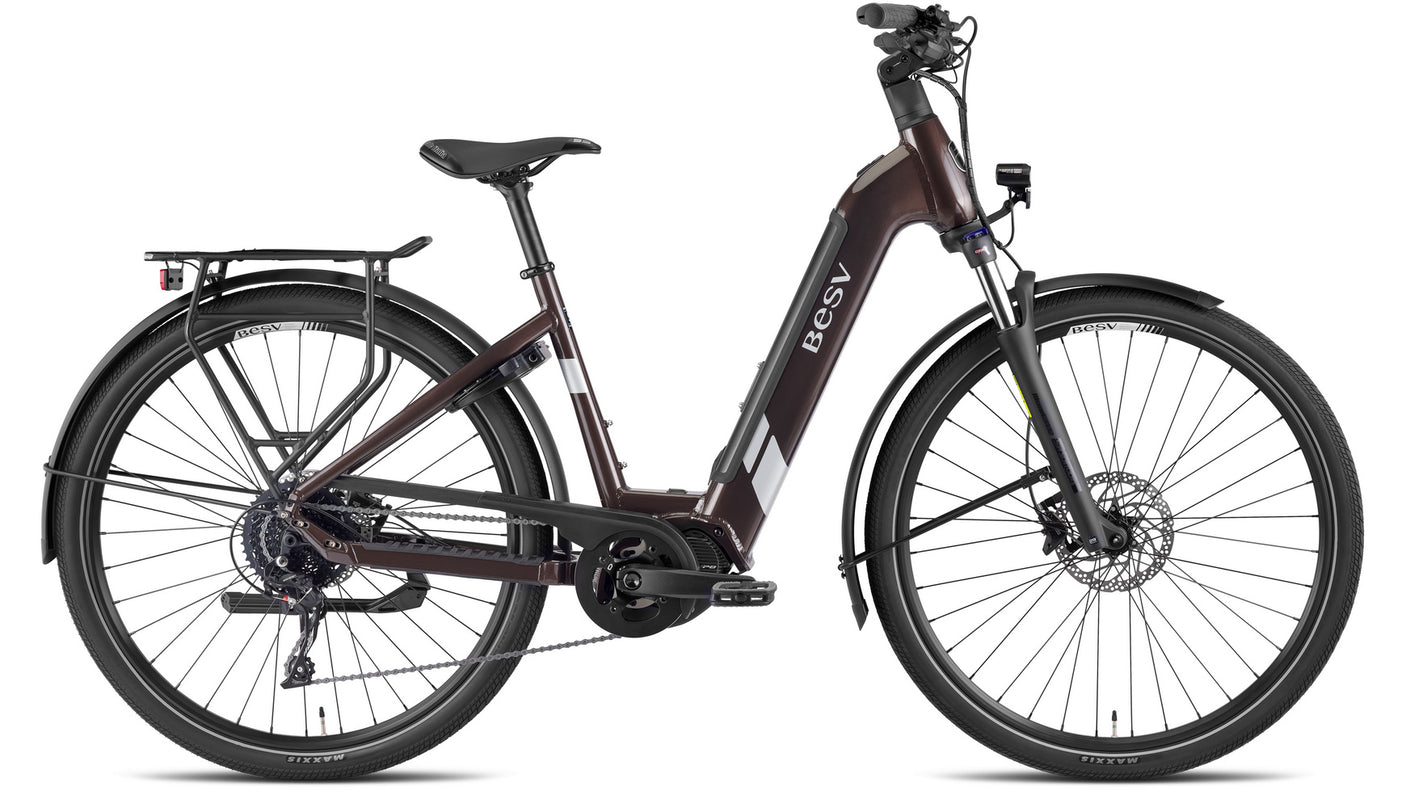 BESV TR 1.3 LS Metallic Umbra (2025)