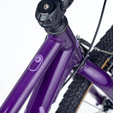 Academy GRADE 6 Purple