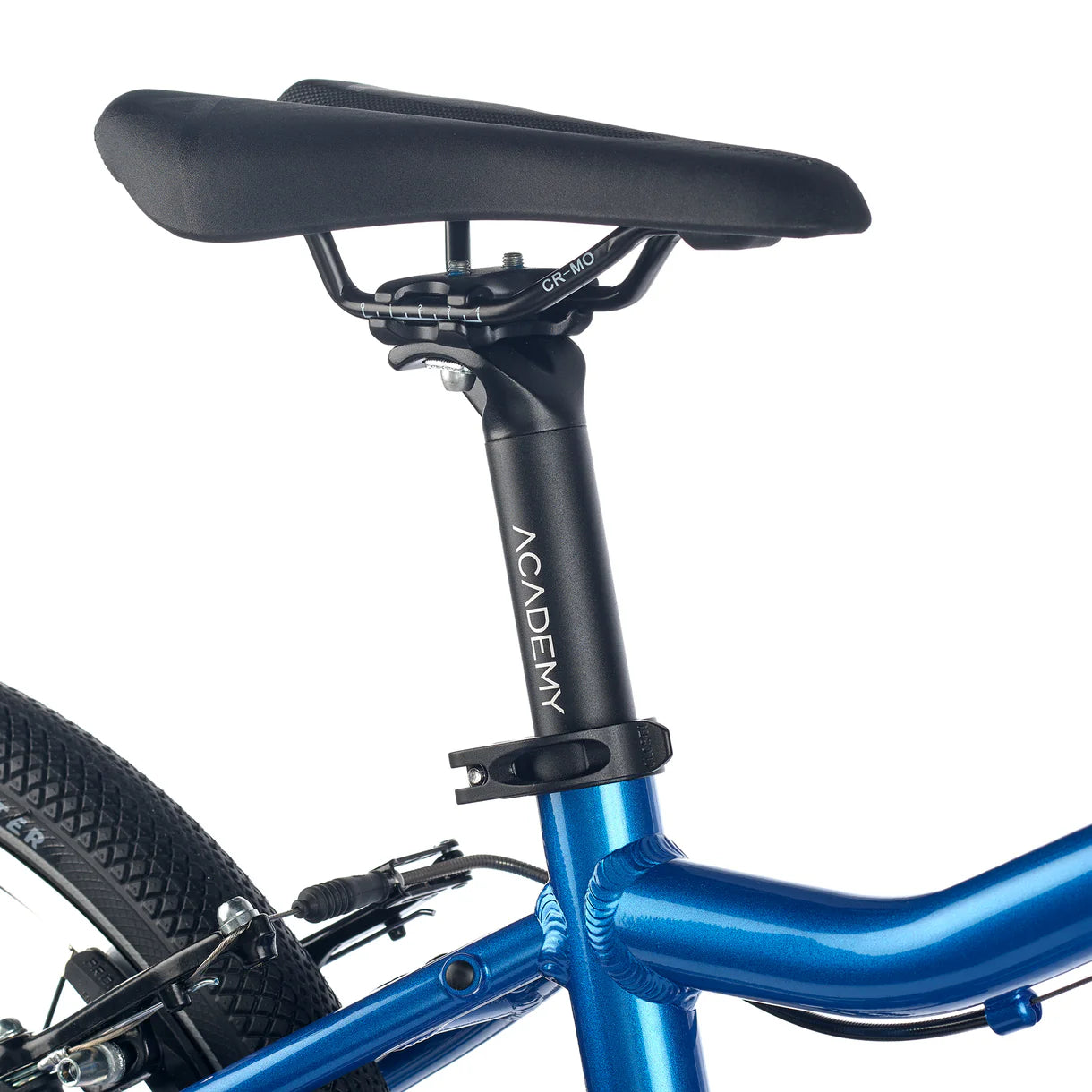 Academy GRADE 4 belt Blue