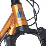 Academy Trail 4 Amber