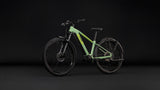 Cube Reaction Hybrid ONE 720 FE Diamant cactus´n´black (2027)