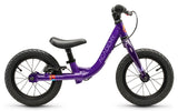 ACADEMY Grade 1 12" Purple (2026)