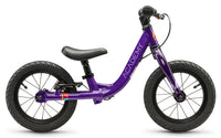 ACADEMY Grade 1 12" Purple (2026)