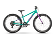 Raymon Yanga 24 green/purple
