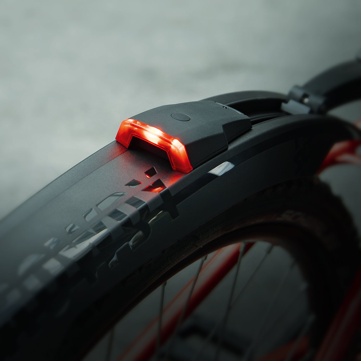 SKS Germany ROWDY REARLIGHT Steckradschutz Black