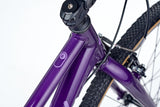 ACADEMY Grade 6 26" Purple (2026)