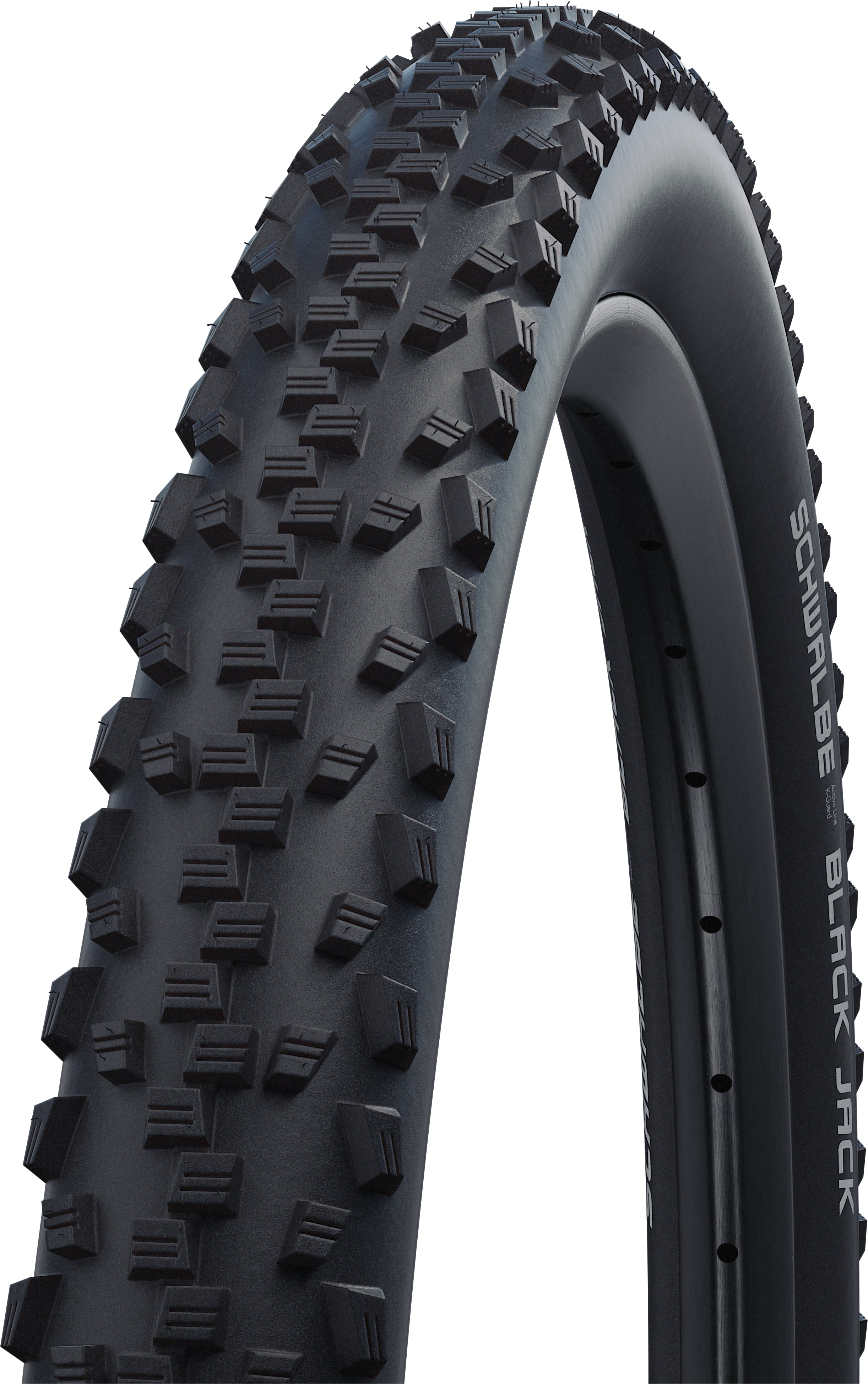 Schwalbe Black Jack Drahtreifen 24x2.10