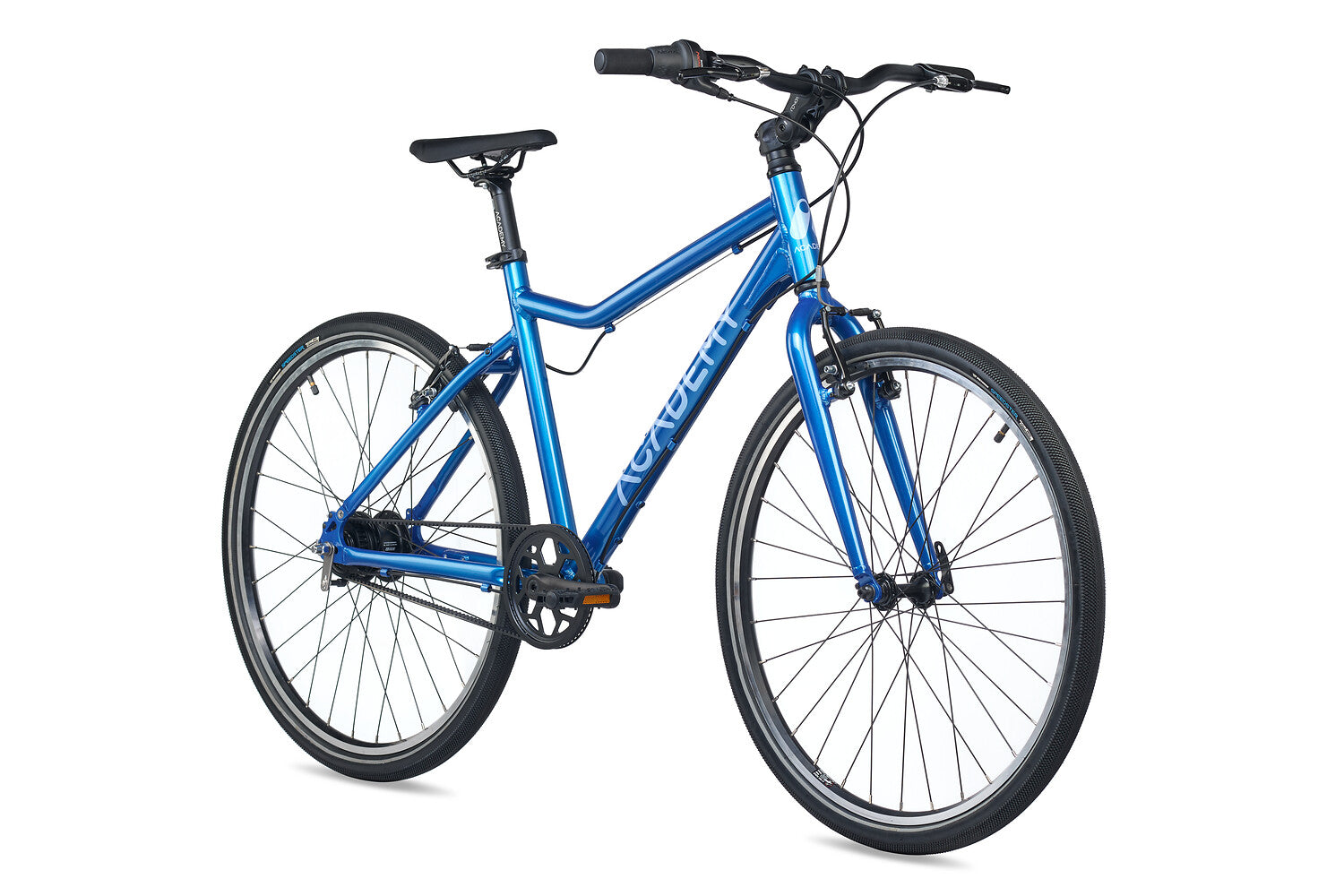 ACADEMY Grade 6 Belt 26