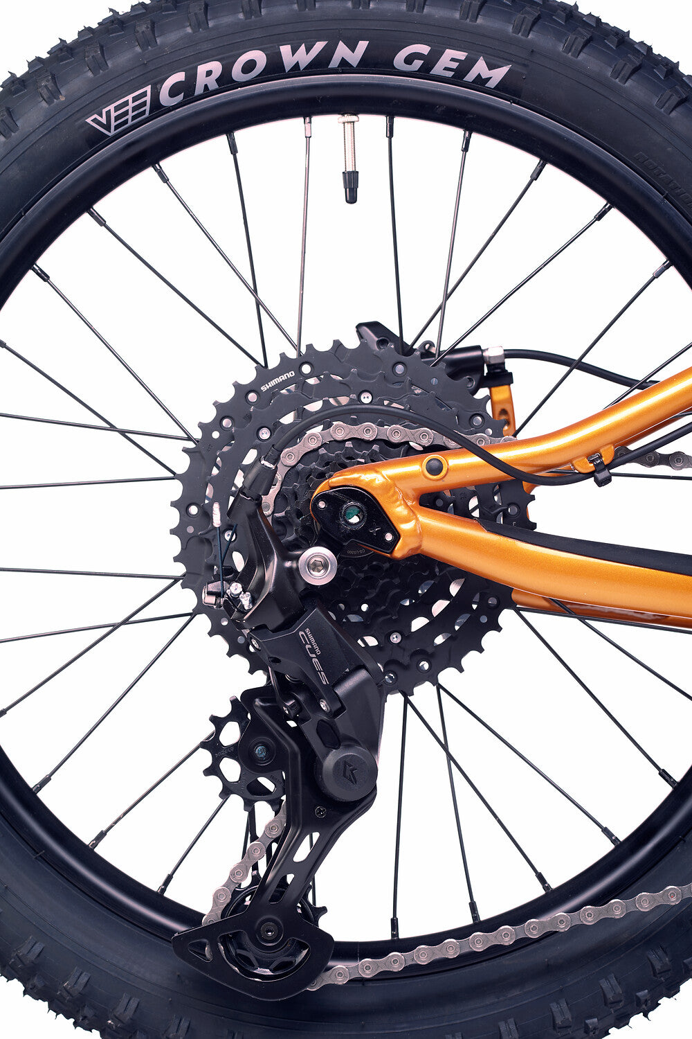 ACADEMY Trail 4 20" Amber (2026)