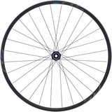 Shimano WH-RS171 Vorderrad 29" Centerlock 12x100mm schwarz