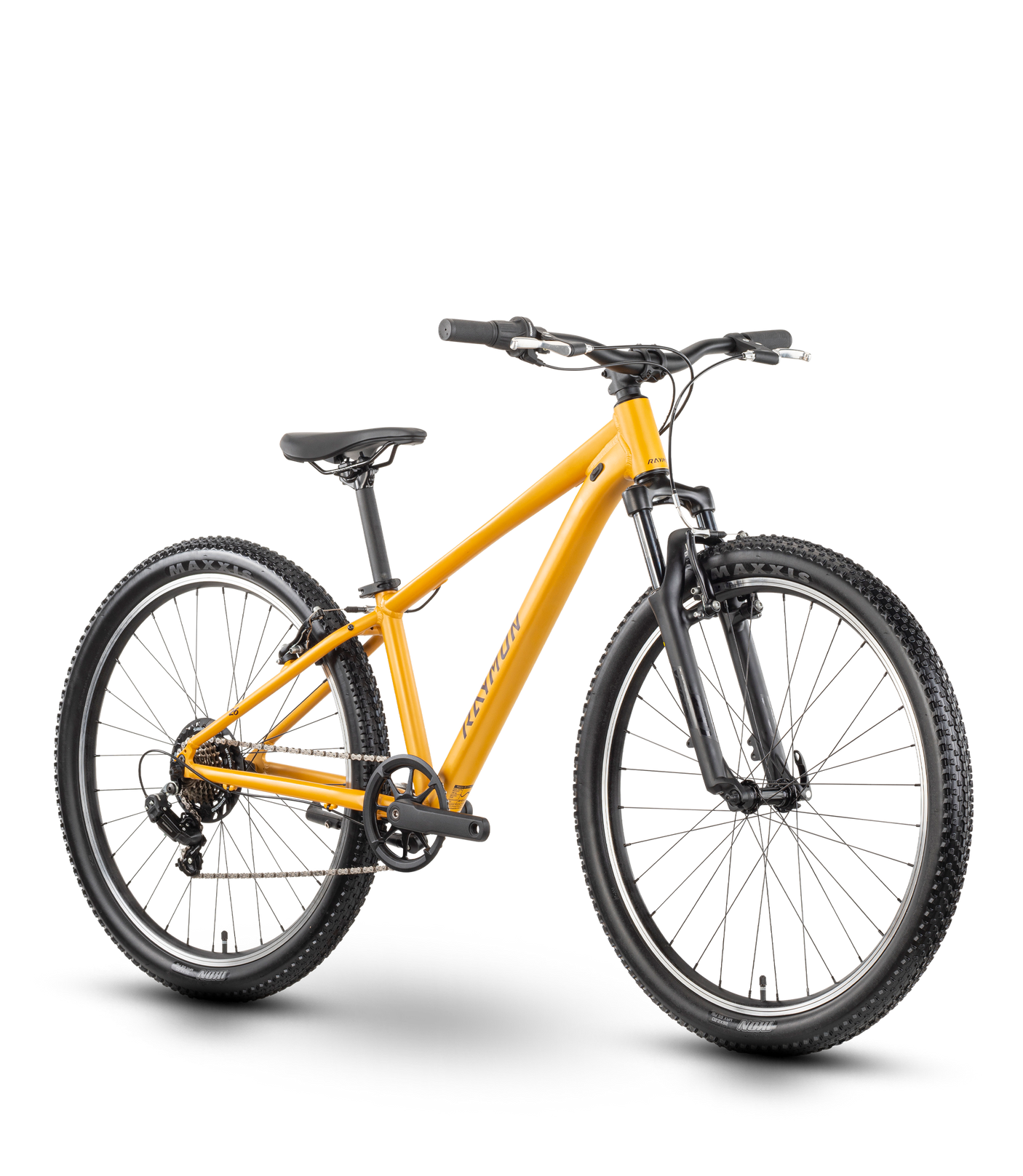 Raymon Nayta 26 Comp kurkuma (2026)