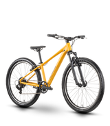 Raymon Nayta 26 Comp kurkuma (2026)