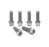 Ritchey WCS 4Axis Vorbauschrauben Edelstahl 6 Stück silber