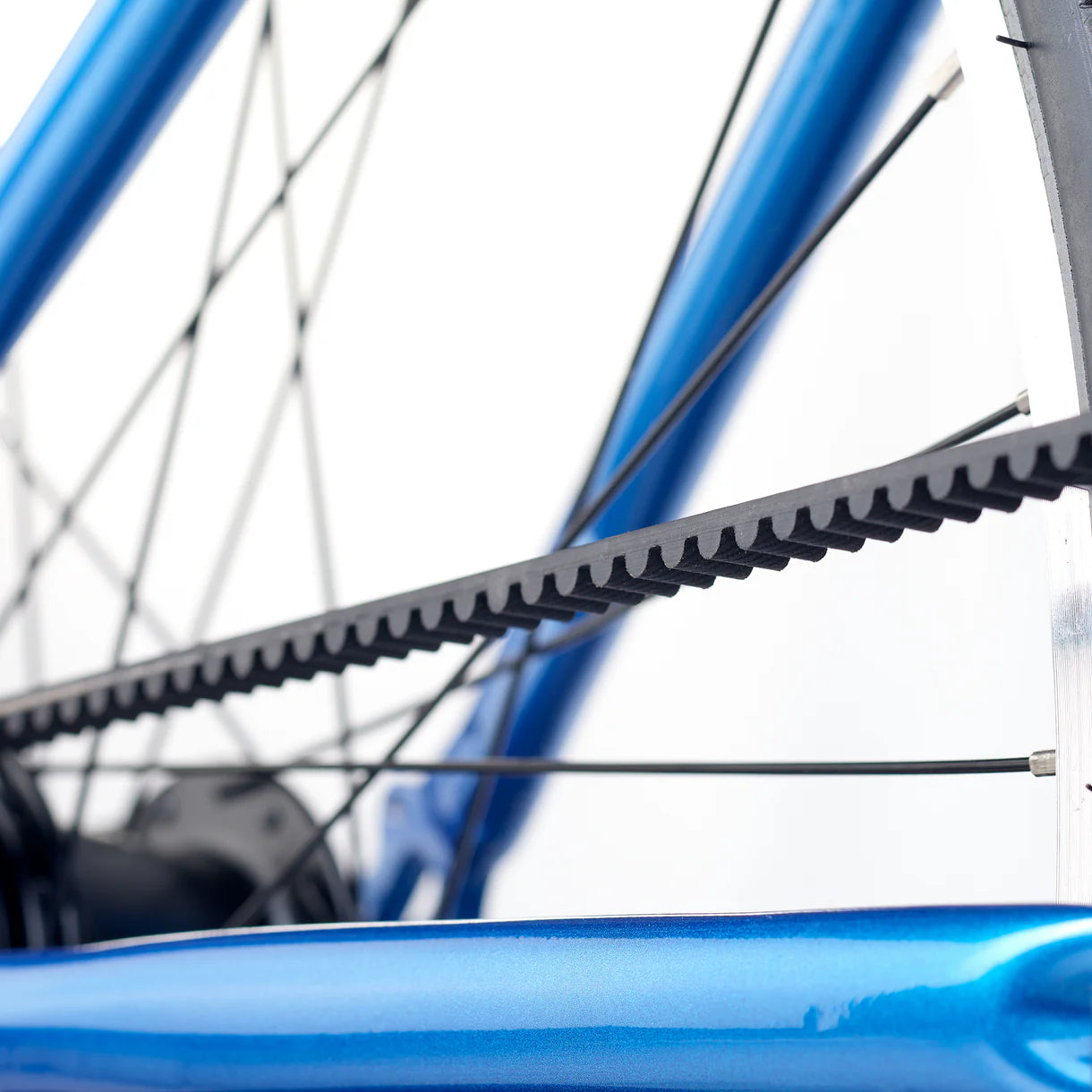 Academy GRADE 6 belt Blue